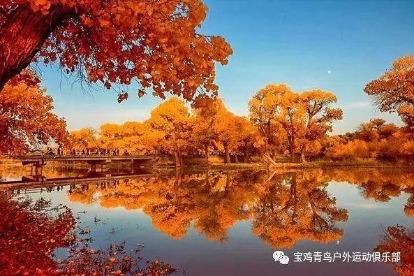 寻味“三星半”